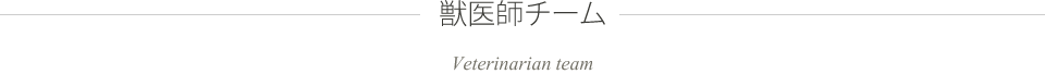 獣医師チーム