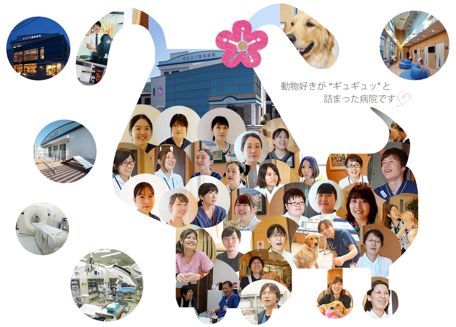 動物好きがギュギュッと詰まった病院です