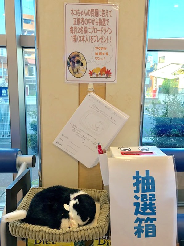 ブロードラインキャンペーンを行っています!