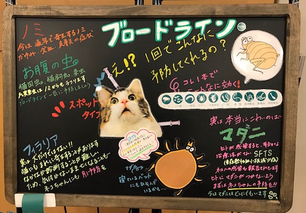 ブロードラインキャンペーン!11月の抽選結果発表!!
