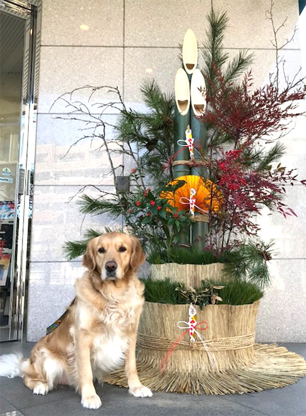 玄関に門松飾り、新年を迎える準備がととのいました。