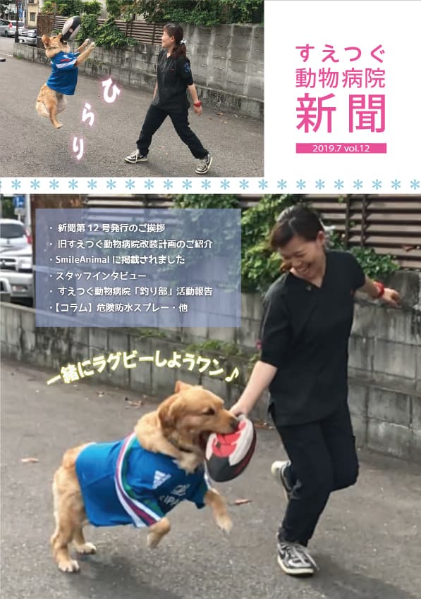 すえつぐ動物病院新聞2019年7月号(第12号)ができました