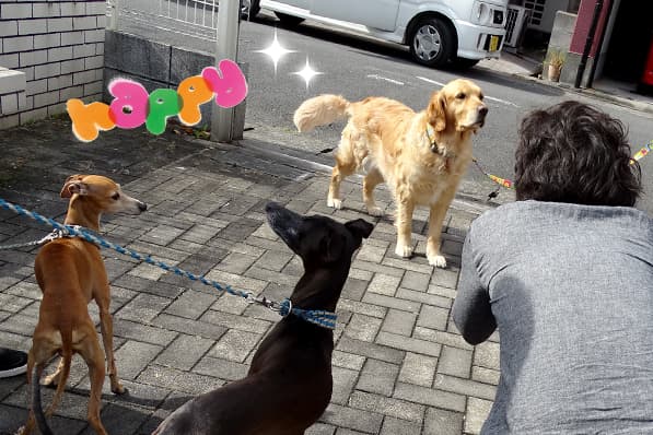 第4回ペット撮影会を開催しました!
