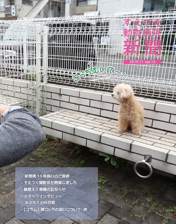 すえつぐ動物病院新聞2019年12月号(第13号)ができました