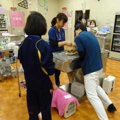 北部中学校さんの職場体験学習