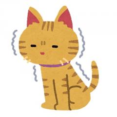 知っておきたい「てんかん」の話