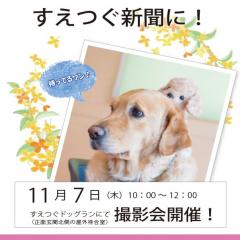 11月7日(木)にペット撮影会を開催いたします