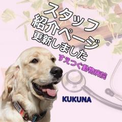 スタッフ紹介ページを更新しました