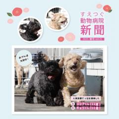 すえつぐ動物病院新聞の2025年春号(第25号)を発行しました