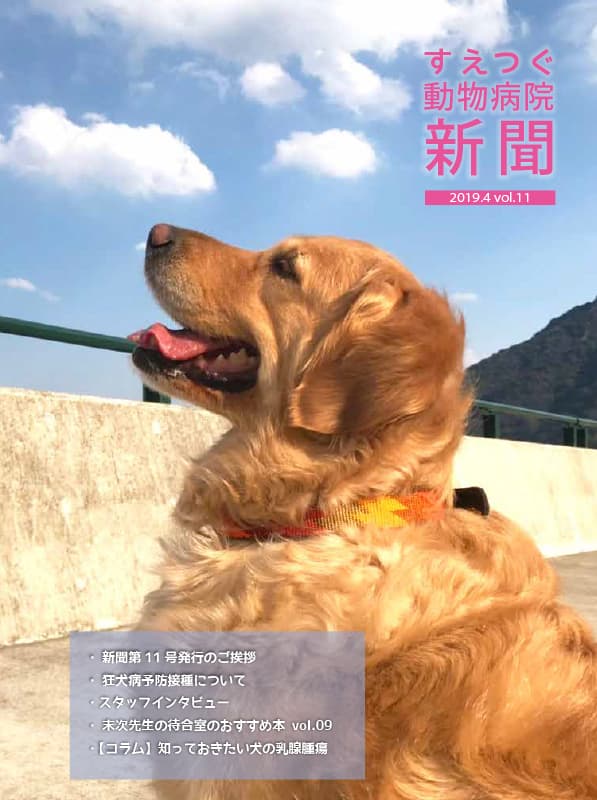 すえつぐ動物病院新聞2019年4月号(第11号)ができました