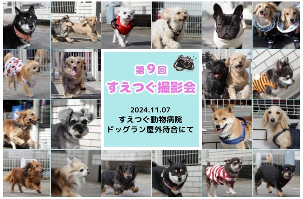 第9回撮影会をふりかえる~SNSにて動画を公開いたしました