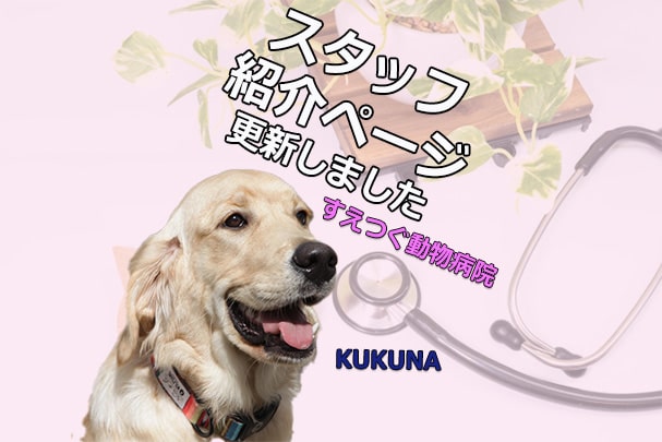 スタッフ紹介ページを更新しました