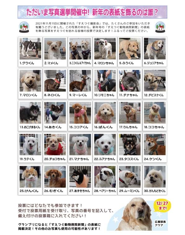 第6回 ペット撮影会、投票受付中!12月27日まで