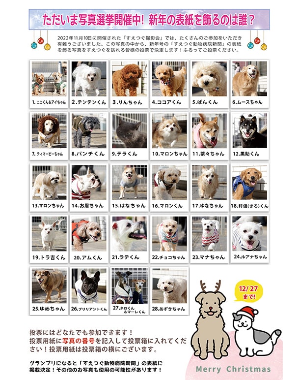 第7回撮影会の投票が始まりました!12月27日まで受付中