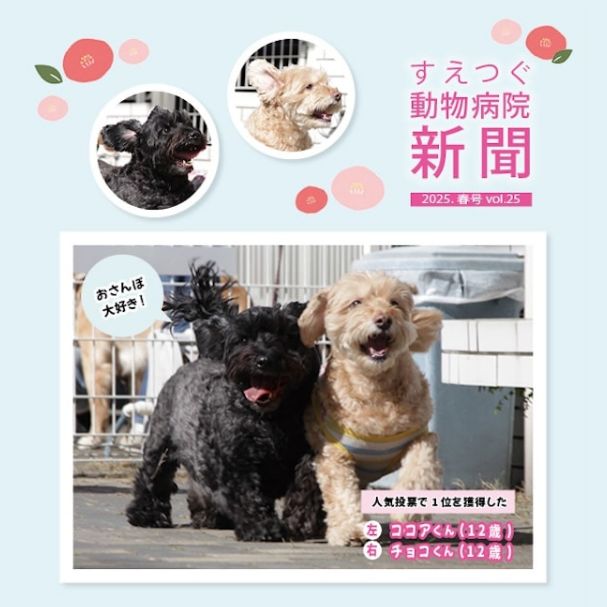 すえつぐ動物病院新聞の2025年春号(第25号)を発行しました