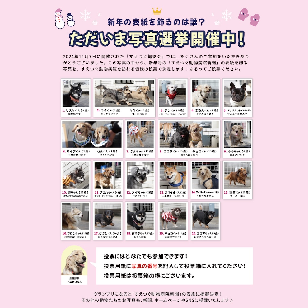 第9回撮影会の投票が始まりました!